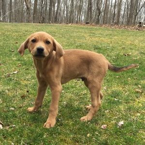 Meet your Posher, Mark